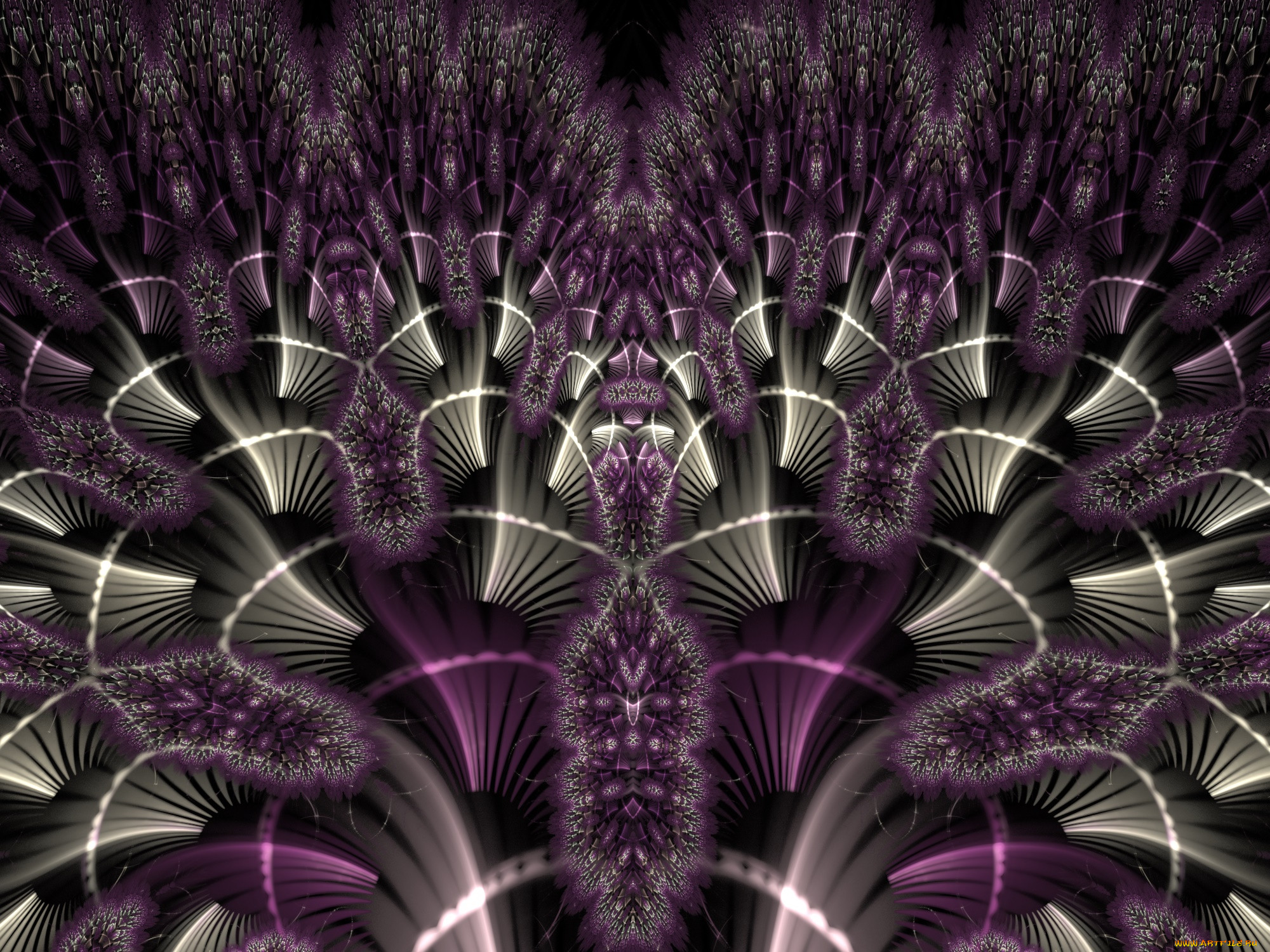 3 ,  , fractal, , , 